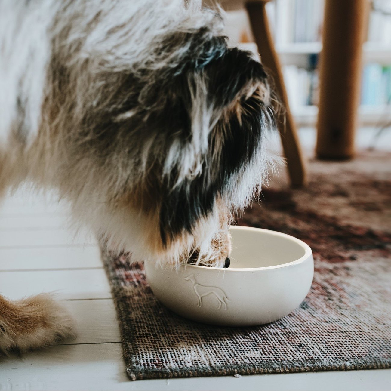 Keramik Hundenapf Lund Bild 18