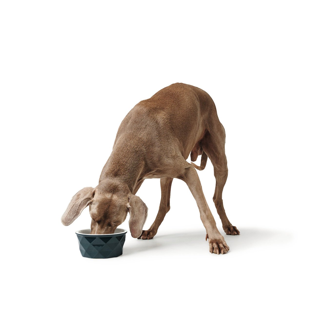 Keramik Napf Eiby Bild 2