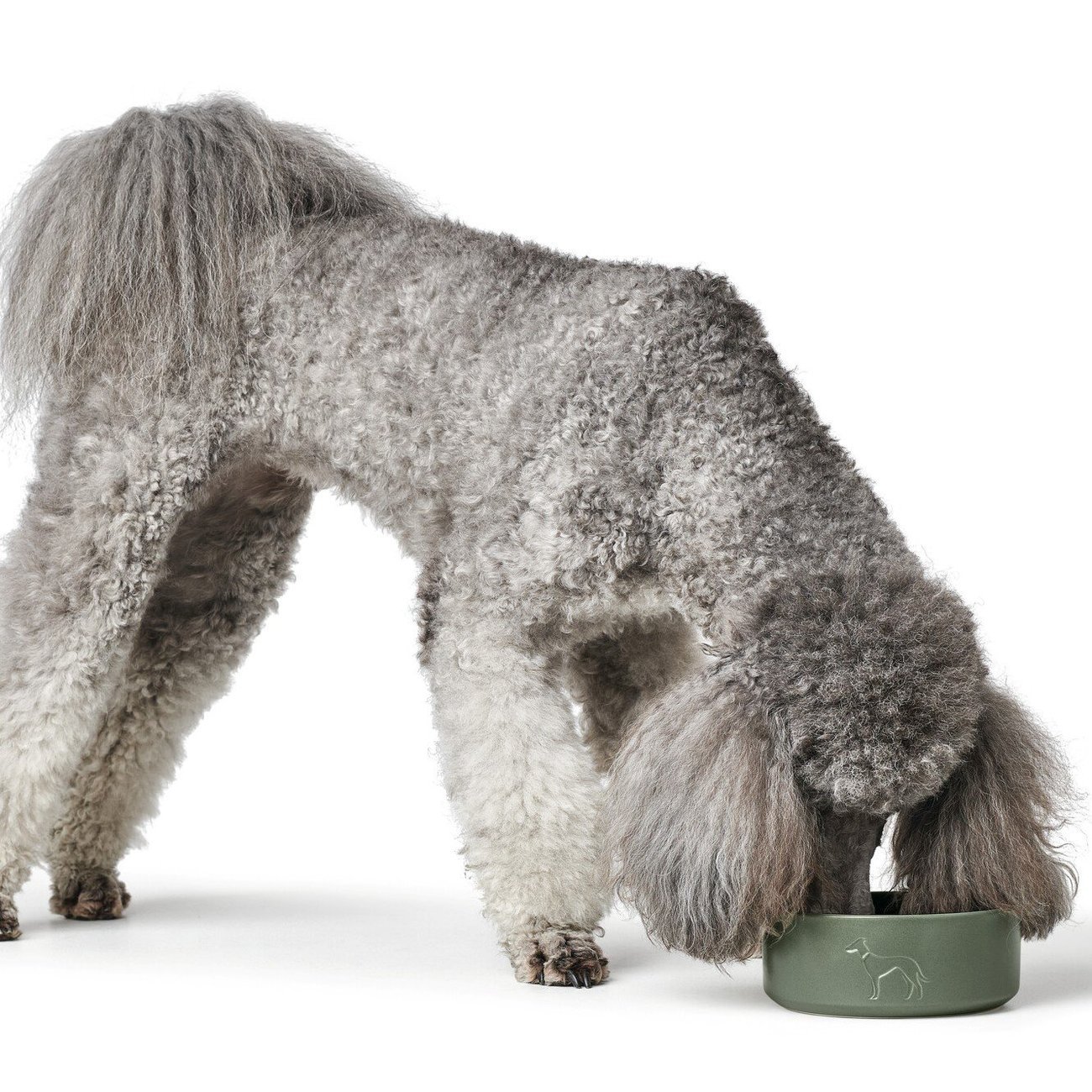 Keramik Hundenapf Osby Bild 4