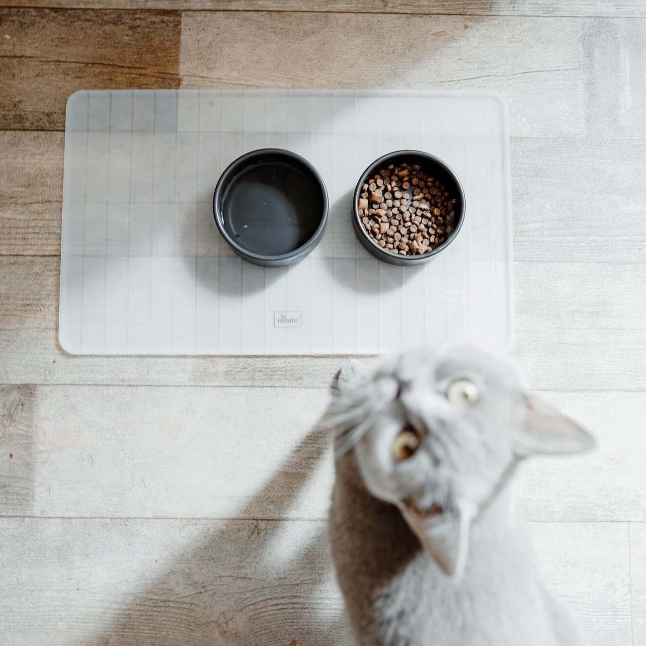 Keramik Hundenapf Osby Bild 10