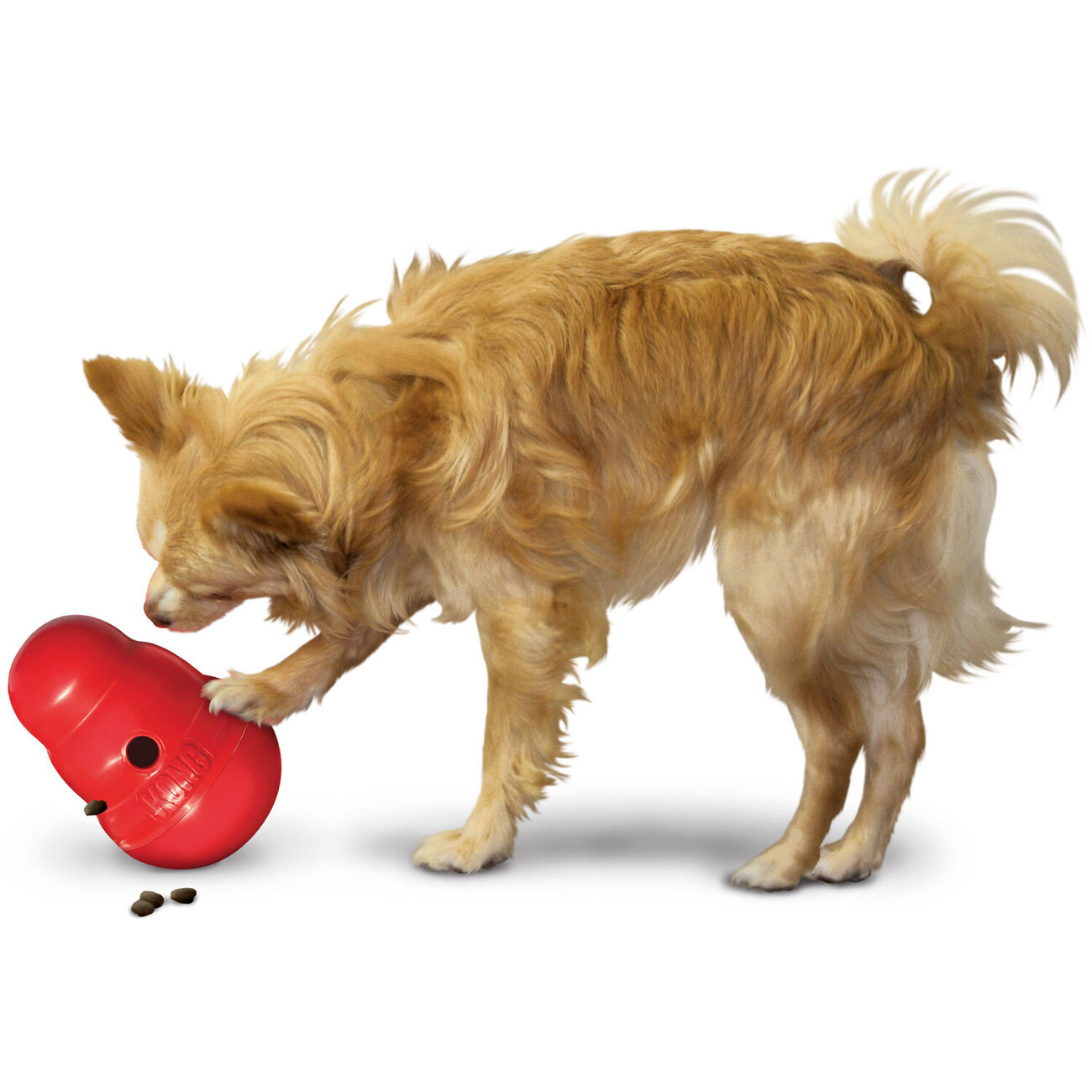 KONG Wobbler Steh-auf-Männchen für Hunde Bild 3