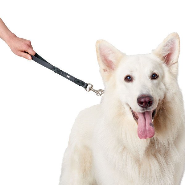 Hunter Kurzführer Solid Education Bild 2