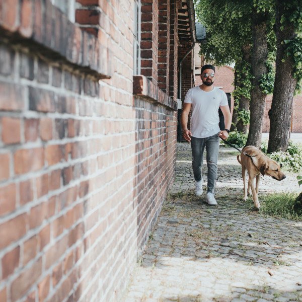 Hunter Kurzführer Solid Education Bild 4