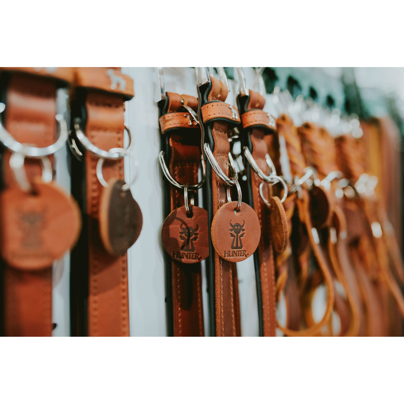 Hunter Leder Halsband Aalborg Bild 19