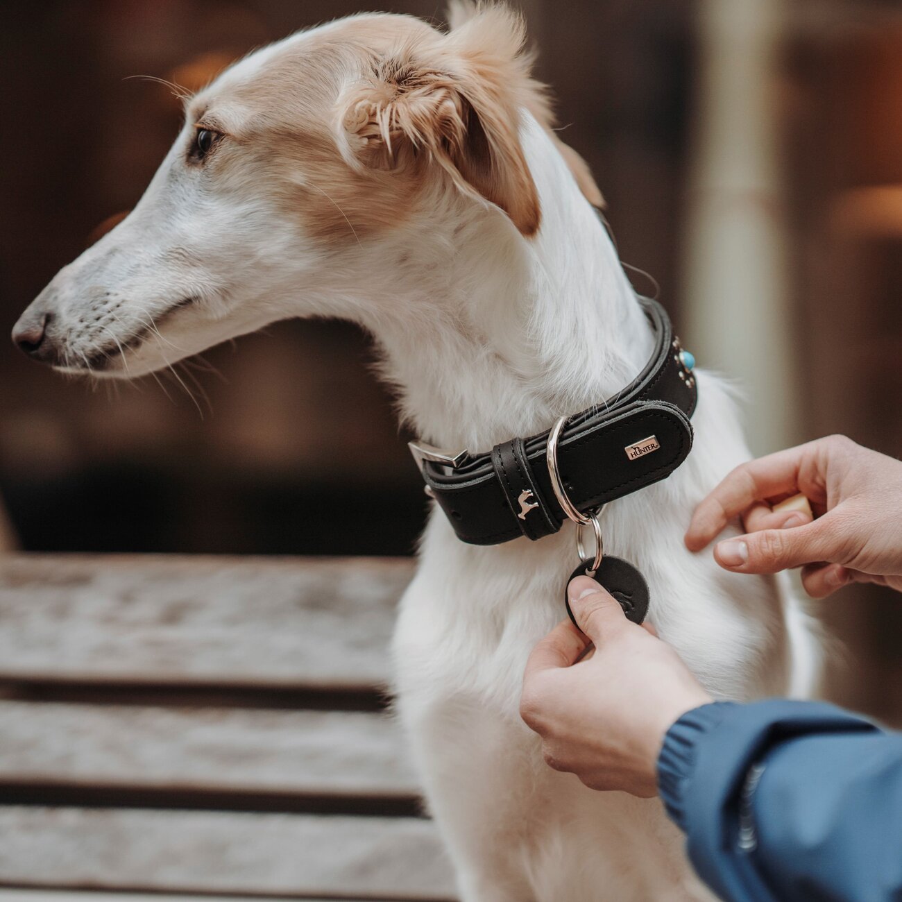 Leder Hundehalsband Madona Bild 6