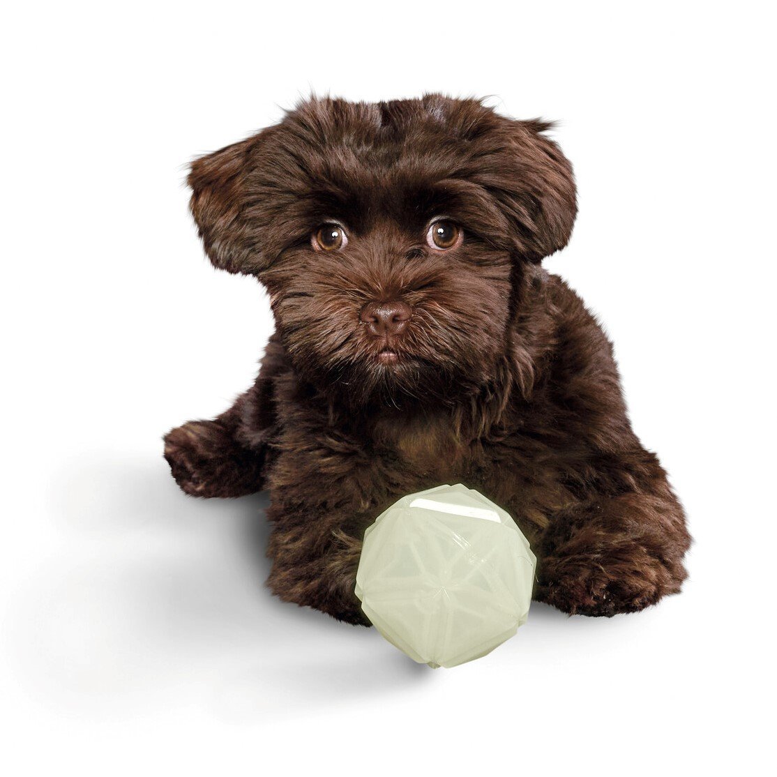 Leuchtspielzeug Kisa Bild 4