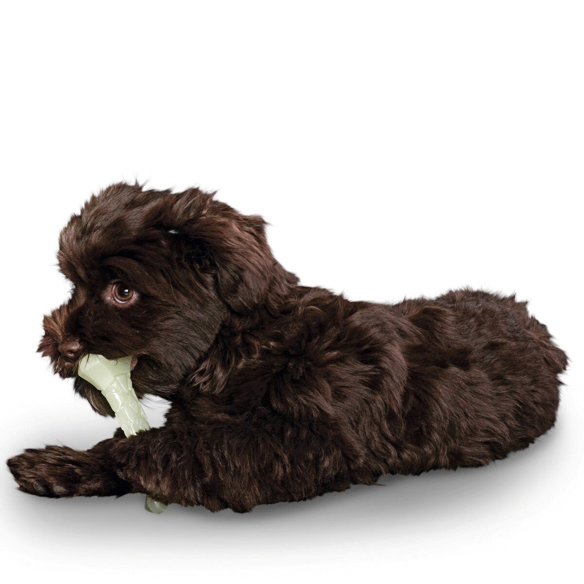 Leuchtspielzeug Kisa Bild 9