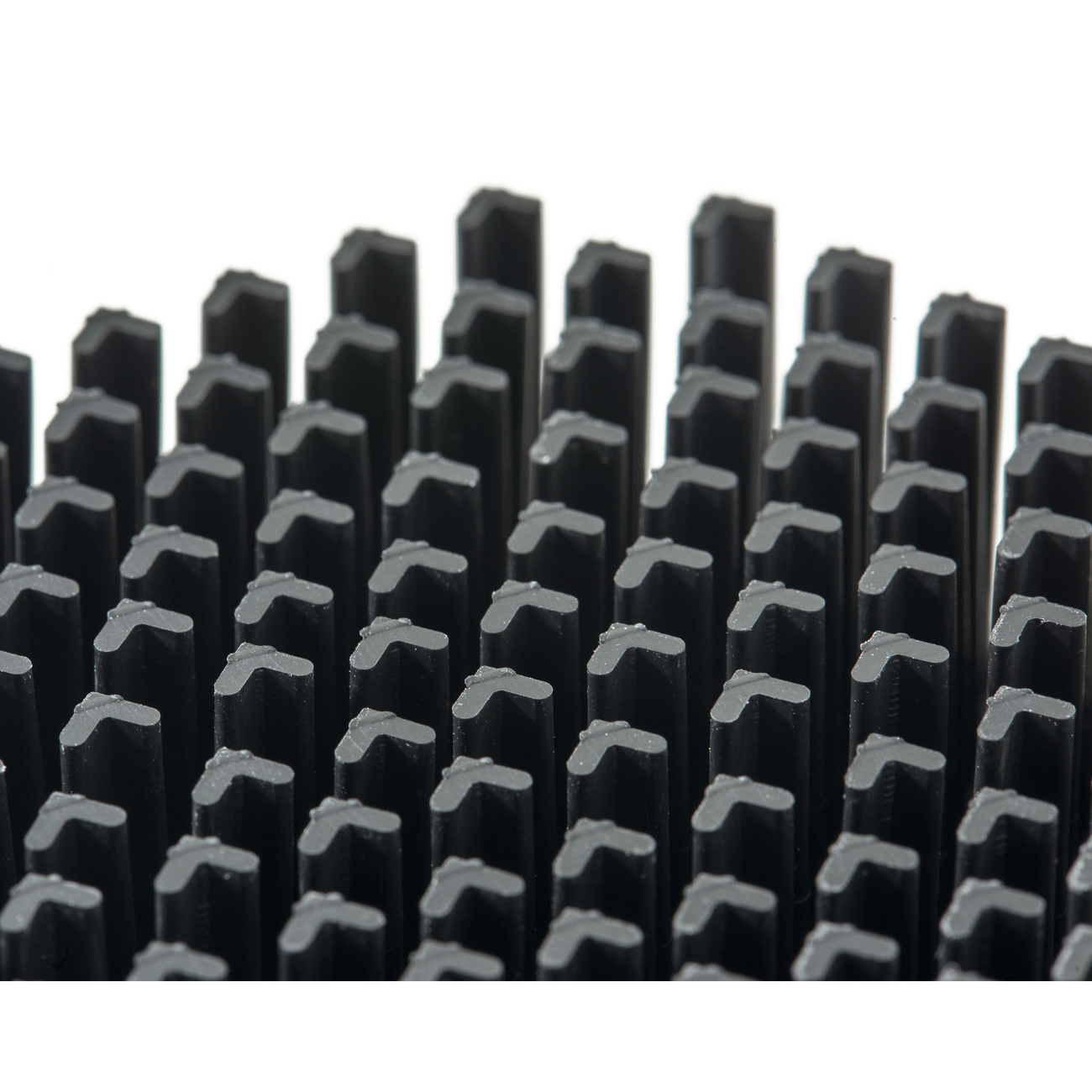 Hunter Marienkäfer Bürste Bild 2