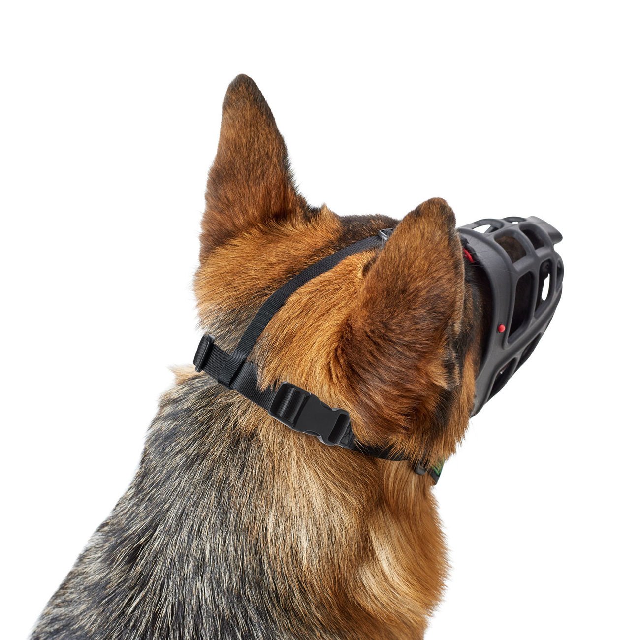 Maulkorb Albury Bild 3