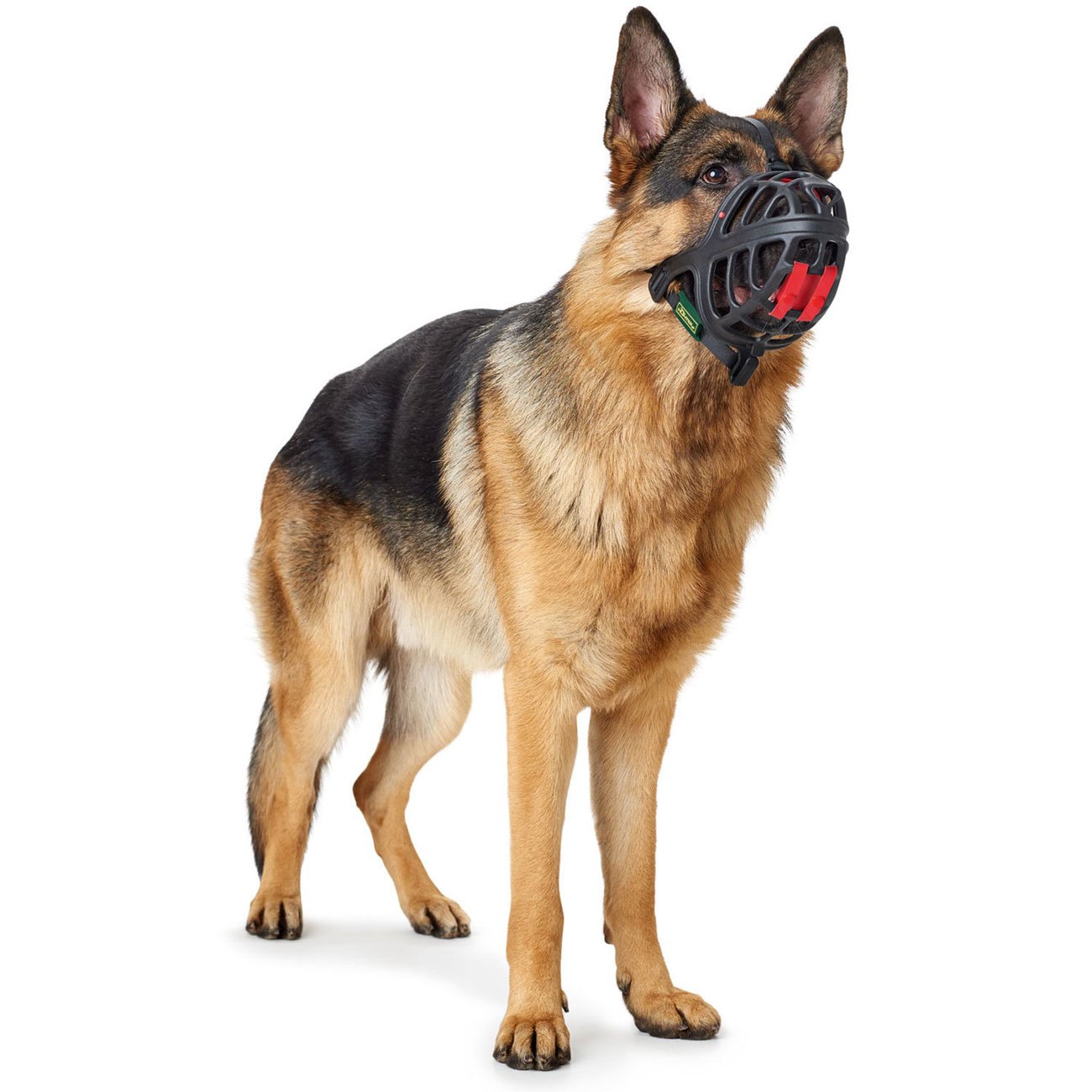 Maulkorb Albury Bild 5