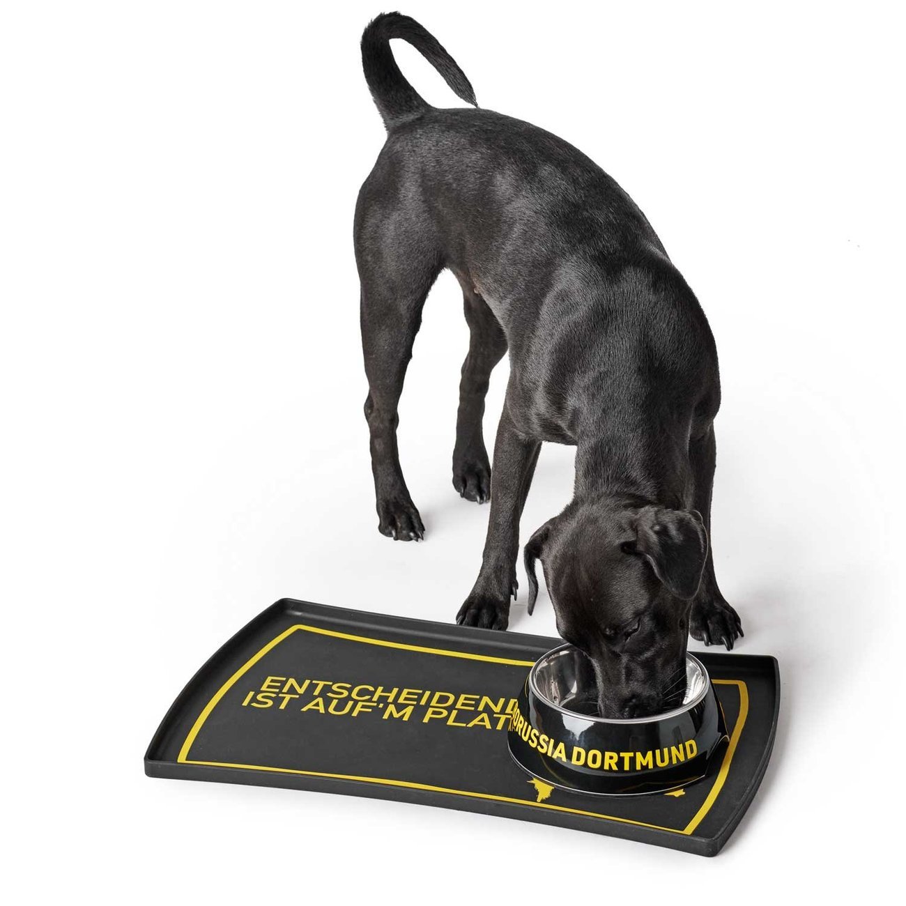 Melamin-Napf Borussia Dortmund BVB Bild 5