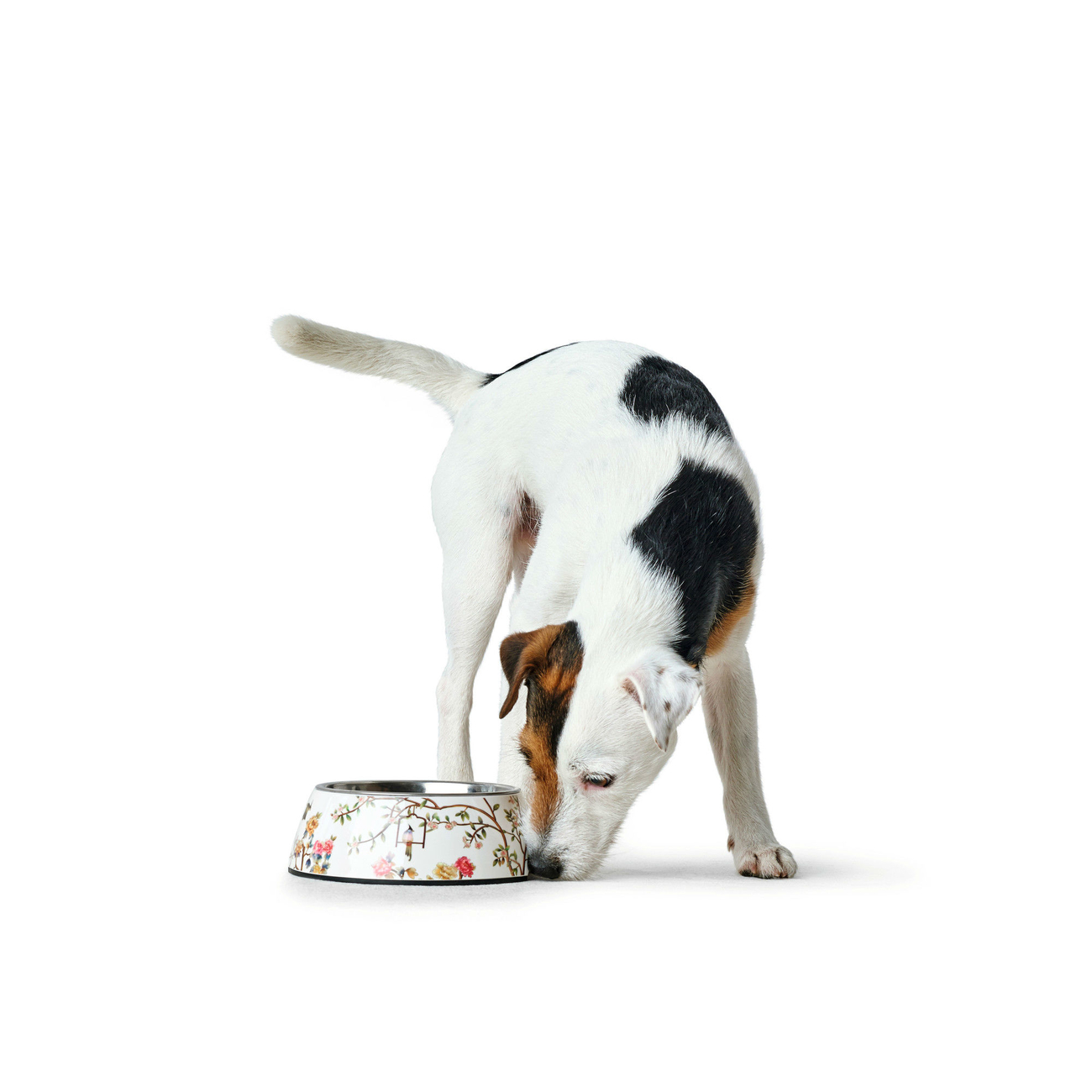 Hunter Melamin-Napf Mogami Bild 2