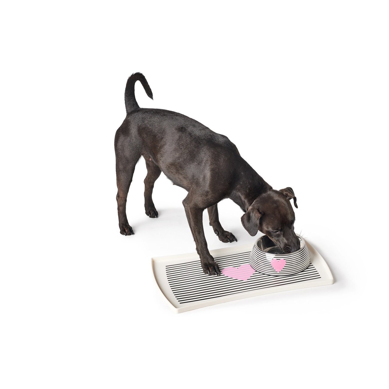 Napf Melamin Biri Bild 3