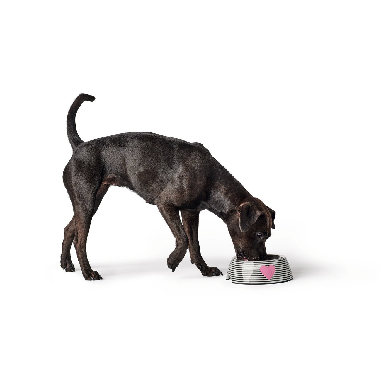 Napf Melamin Biri Bild 2