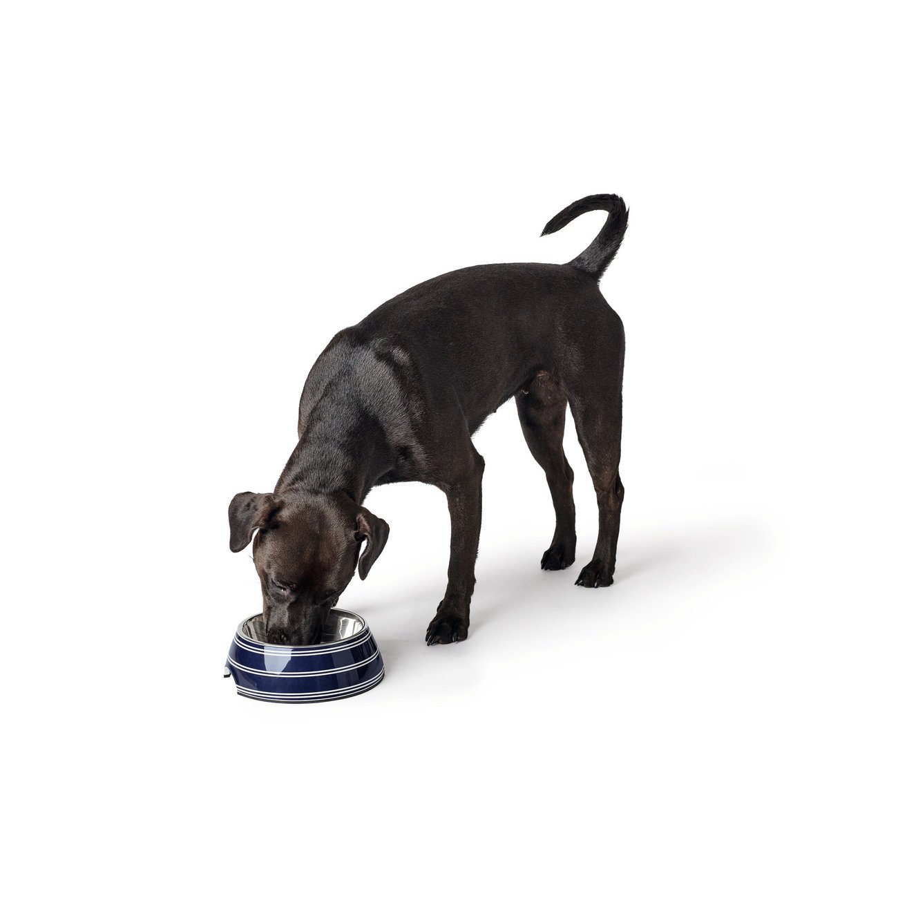 Napf Melamin Silda Bild 4