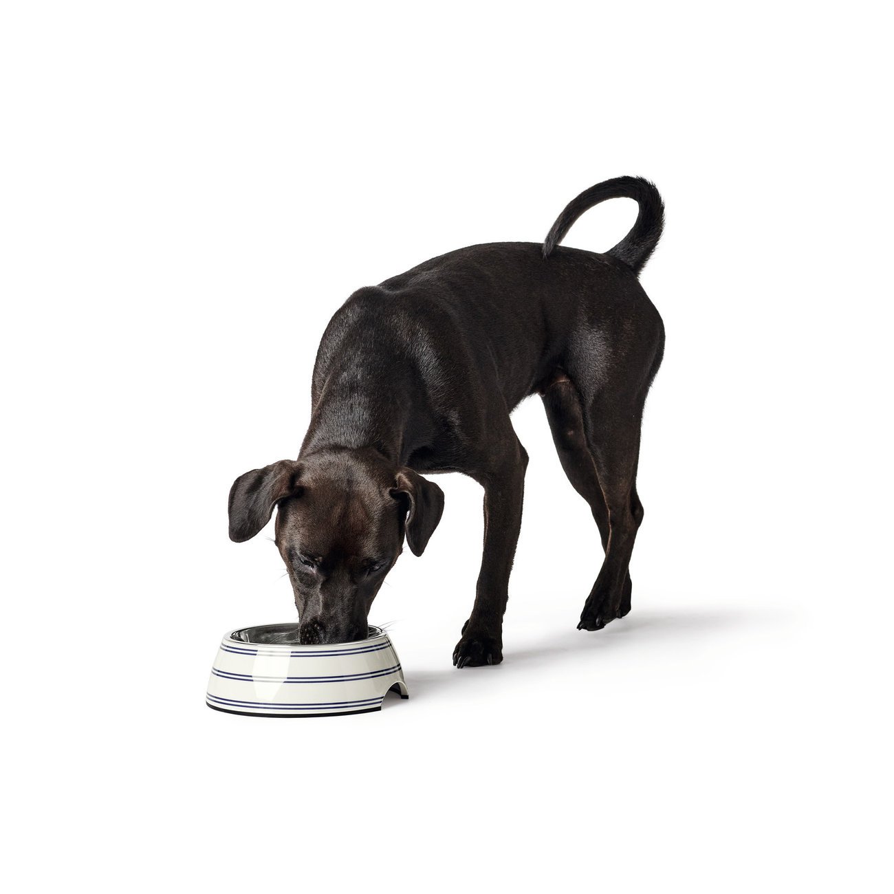 Napf Melamin Silda Bild 5