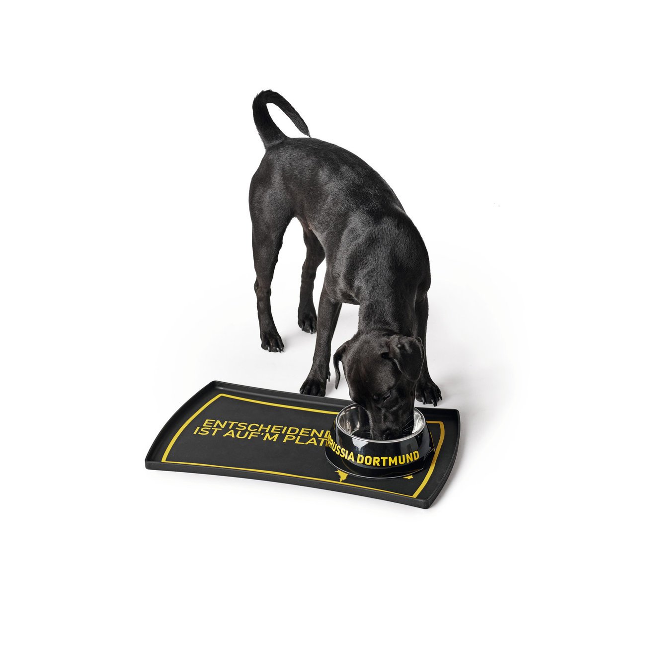 Napfunterlage BVB Bild 2