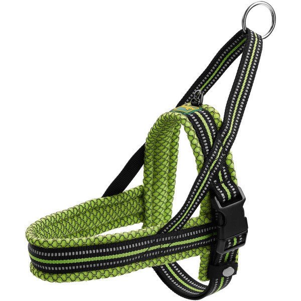 Norweger Geschirr Hilo Bild 10