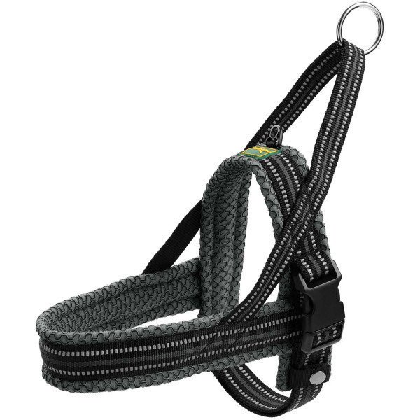 Norweger Geschirr Hilo Bild 13