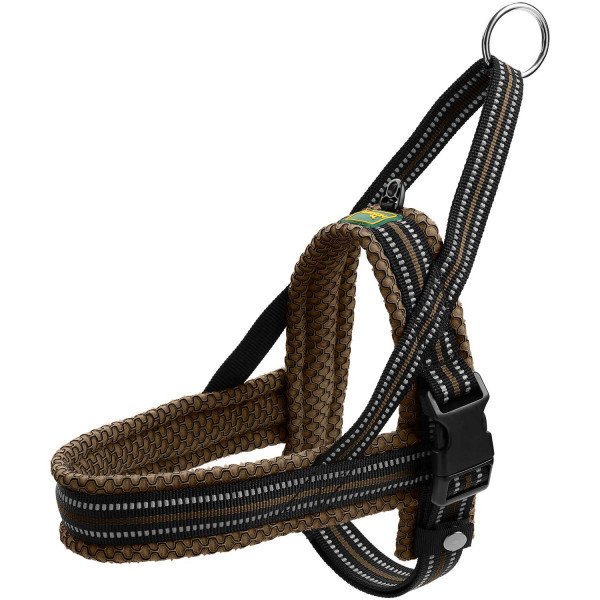 Norweger Geschirr Hilo Bild 19