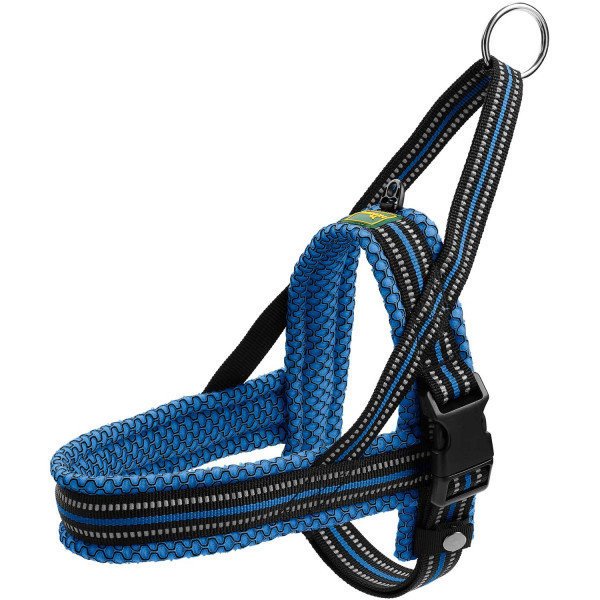 Norweger Geschirr Hilo Bild 16