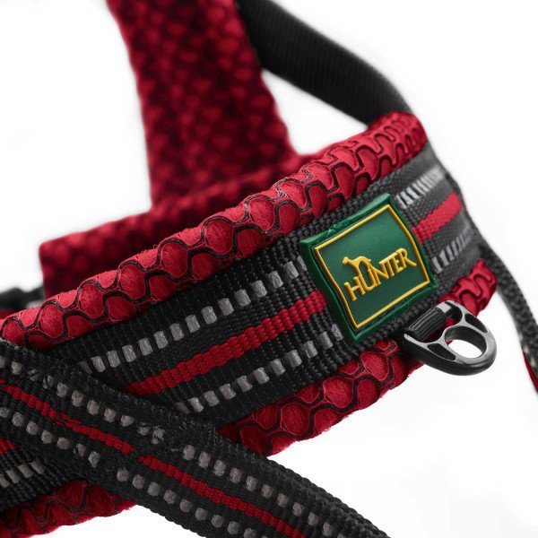 Norweger Geschirr Hilo Bild 2