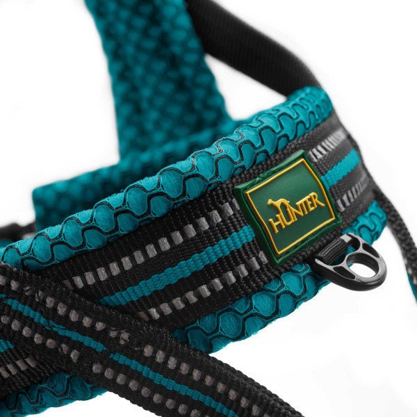 Norweger Geschirr Hilo Bild 4