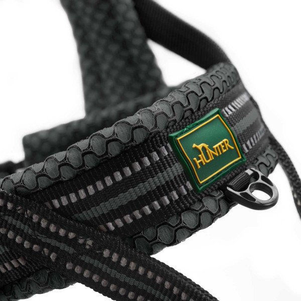 Norweger Geschirr Hilo Bild 14