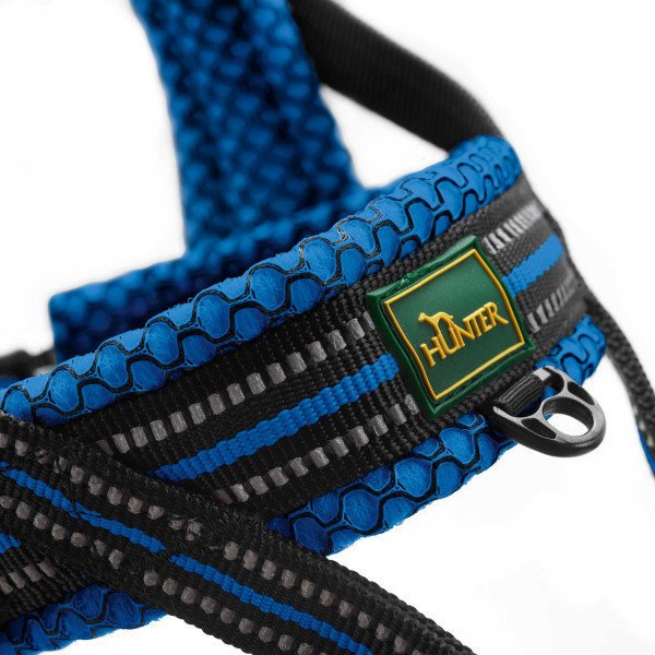 Norweger Geschirr Hilo Bild 17