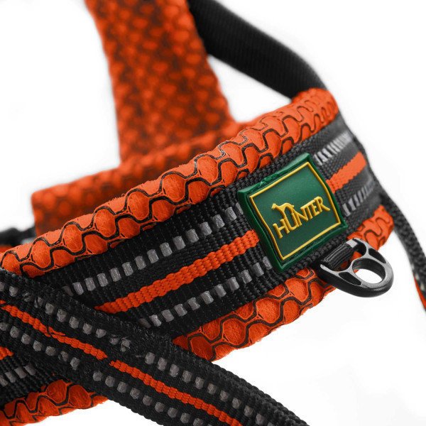 Norweger Geschirr Hilo Bild 8