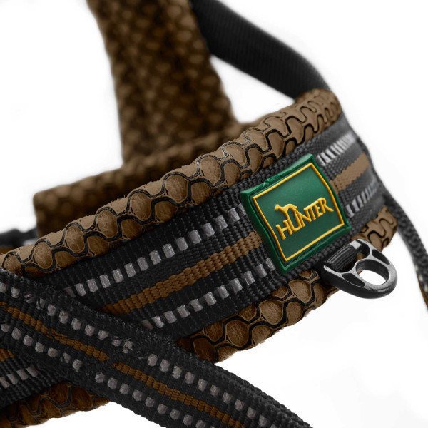 Norweger Geschirr Hilo Bild 20