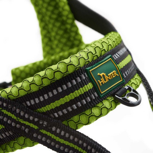 Norweger Geschirr Hilo Bild 11