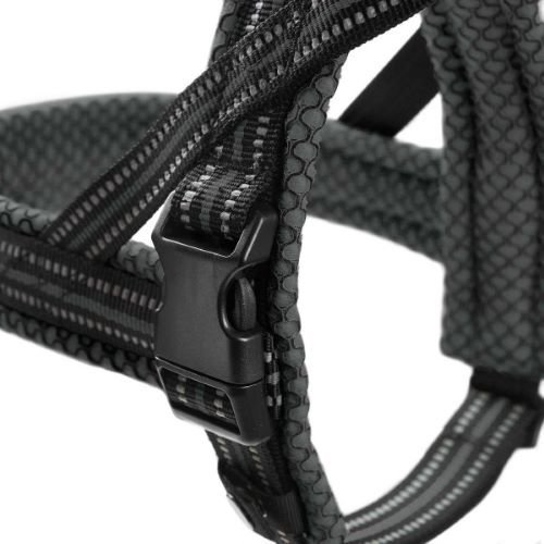 Norweger Geschirr Hilo Bild 15