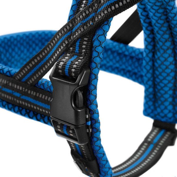 Norweger Geschirr Hilo Bild 18