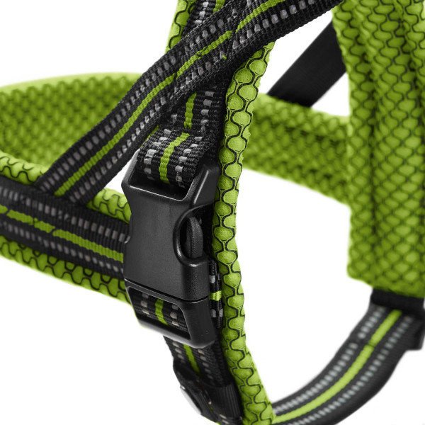 Norweger Geschirr Hilo Bild 12