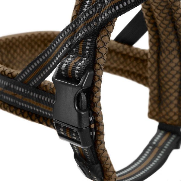 Norweger Geschirr Hilo Bild 21