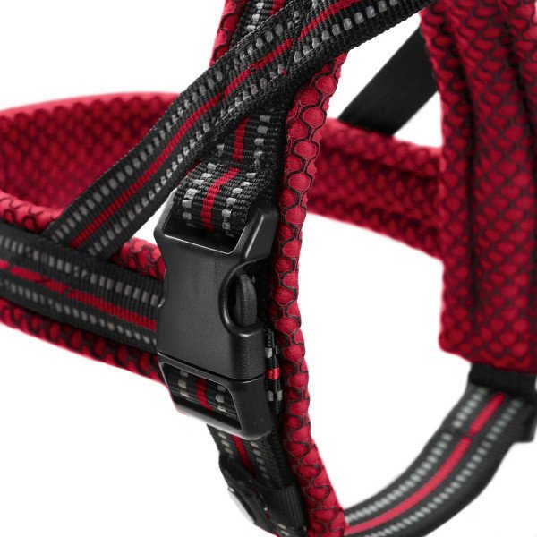 Norweger Geschirr Hilo Bild 6