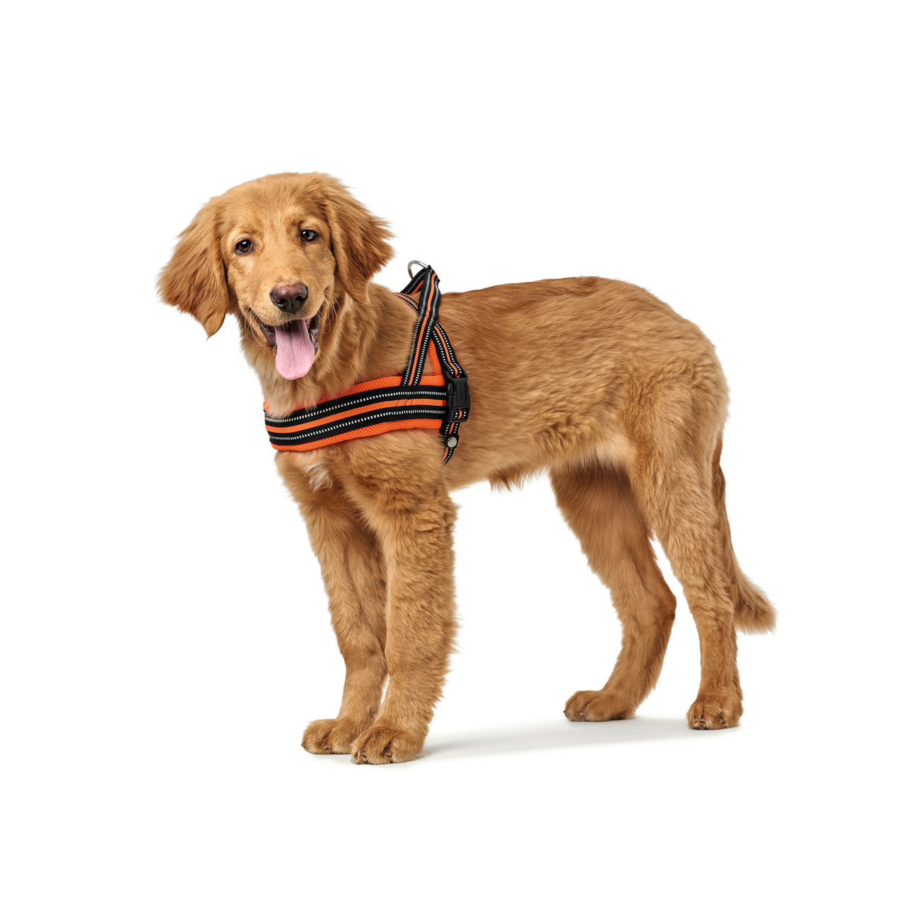 HUNTER Norwegergeschirr Meldal Bild 5