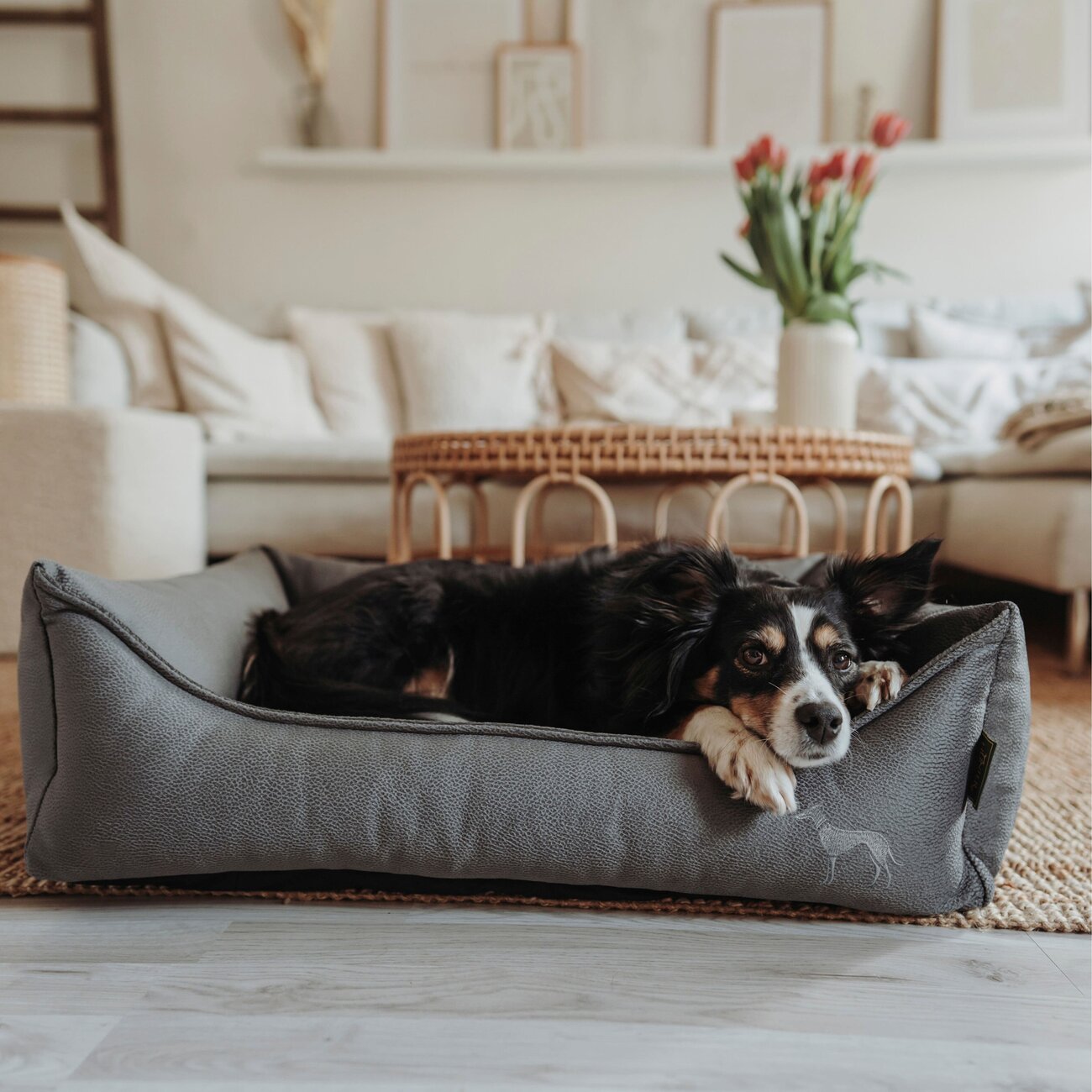 Orthopädisches Hundesofa Merida Bild 4