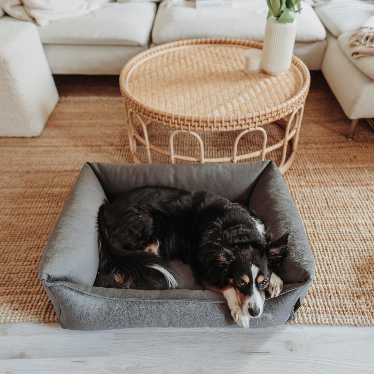 Orthopädisches Hundesofa Merida Bild 5