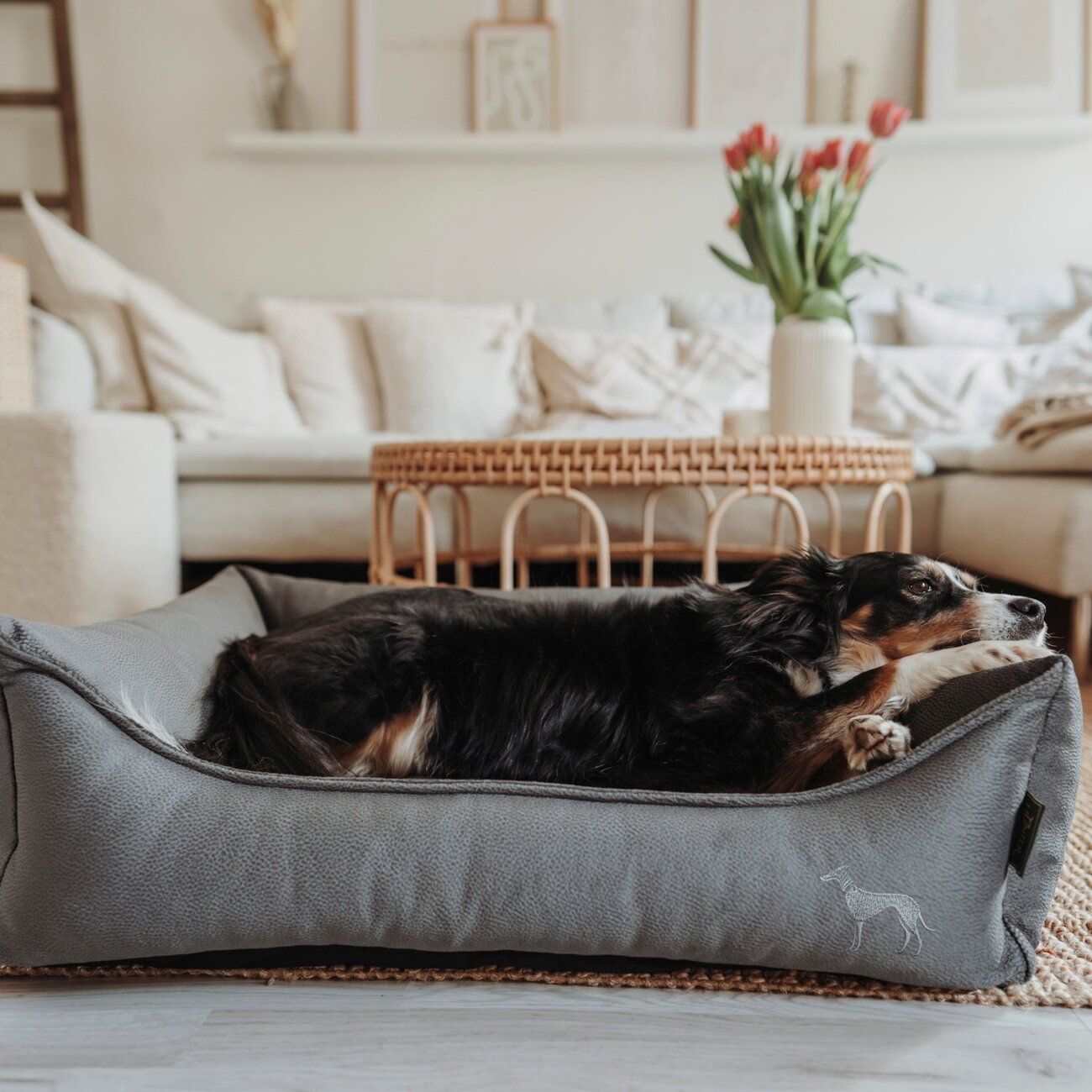 Orthopädisches Hundesofa Merida Bild 2