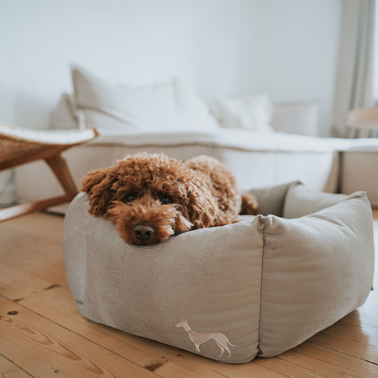 Orthopädisches Hundesofa Merida 6-eckig Bild 2