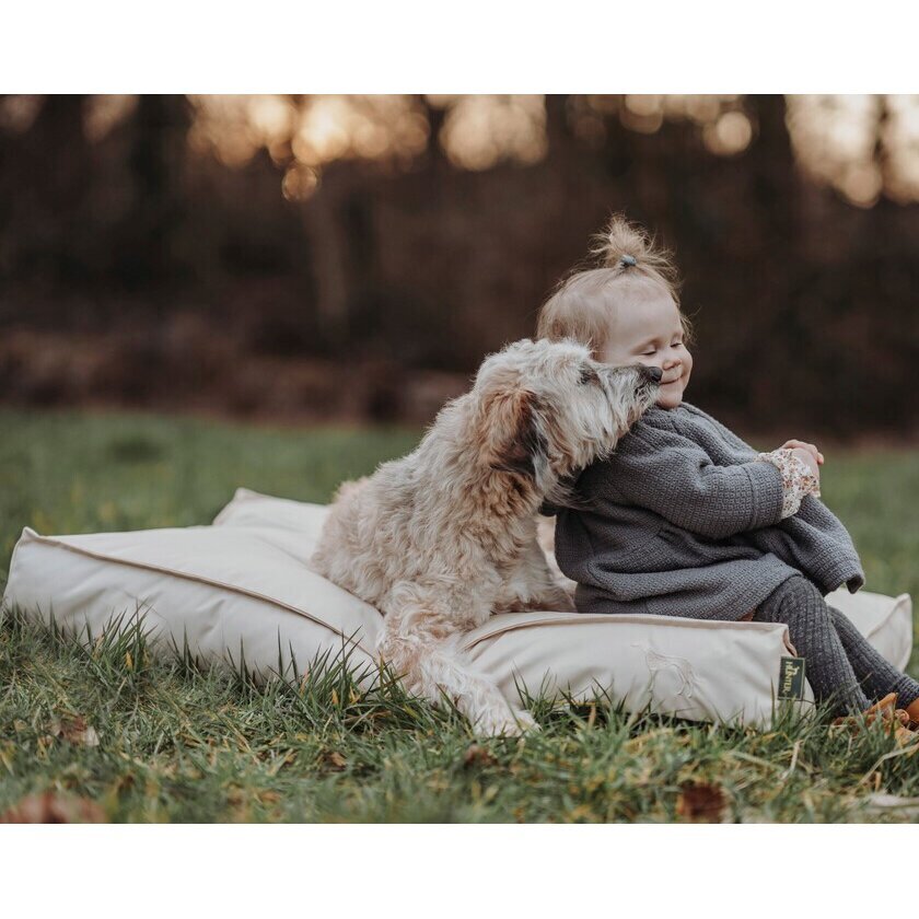 Outdoor Hundekissen Ribe Bild 20