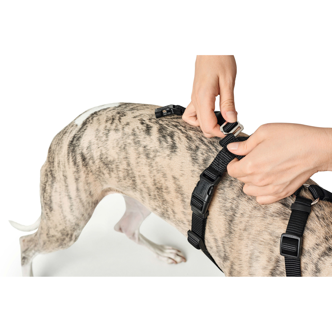Hunter Panikgeschirr für Hunde Vario Rapid Bild 9