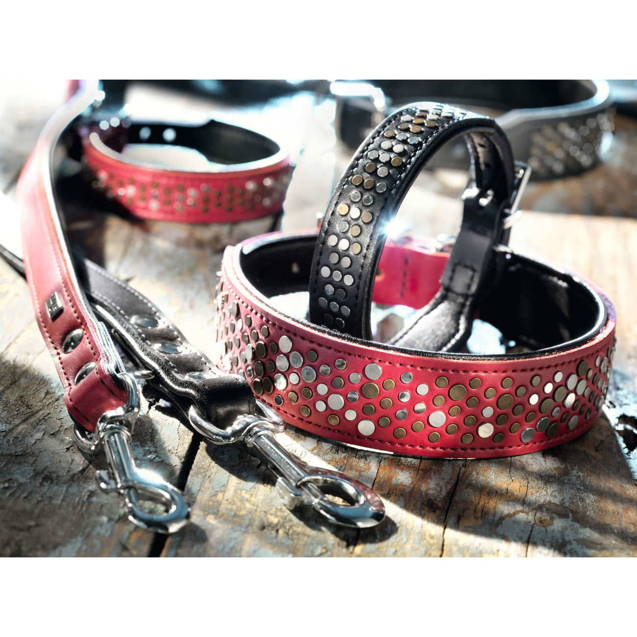 Hunter Rivellino Halsband Bild 2