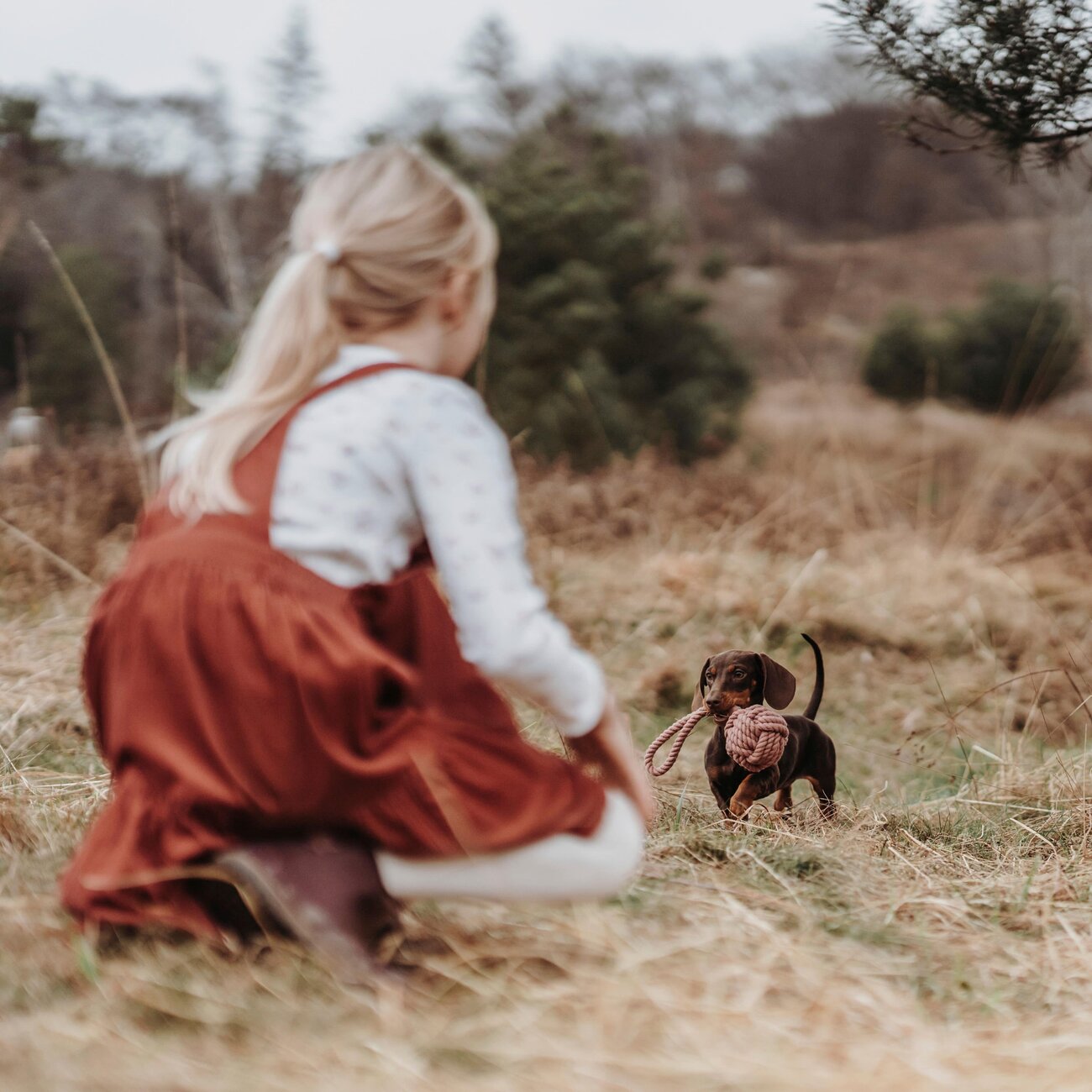 Schleuderball Inari für Hunde Bild 9