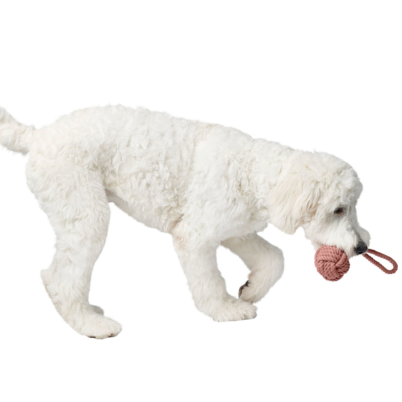 Schleuderball Inari für Hunde Bild 11