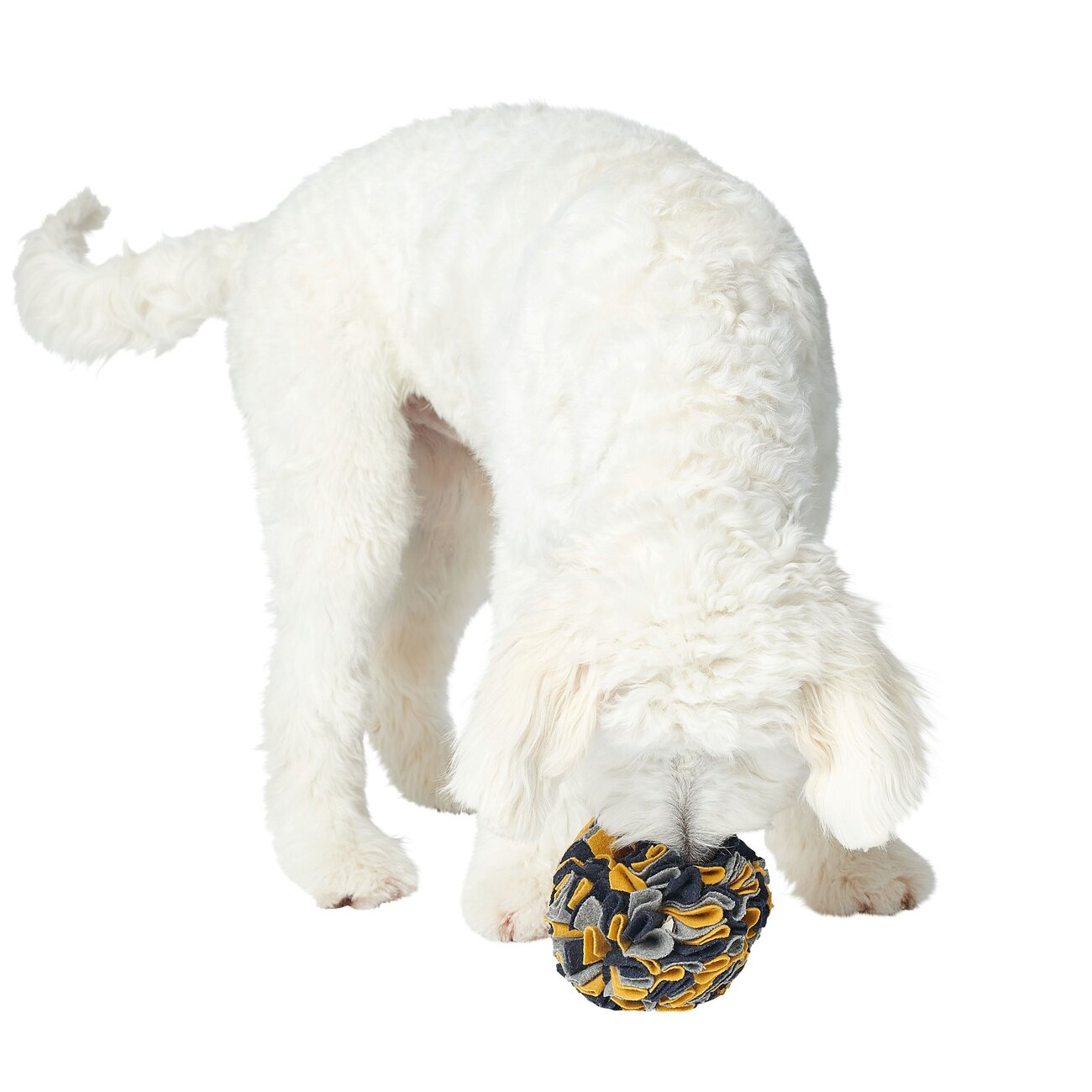 Schnüffelball Eiby für Hunde Bild 3