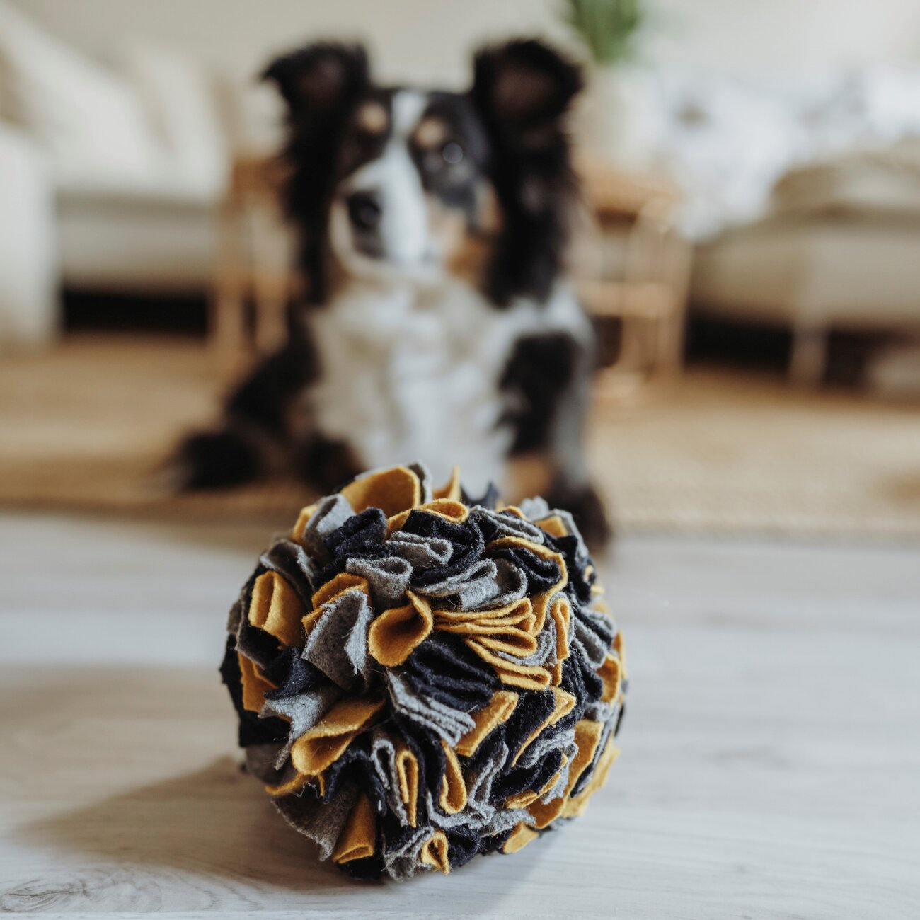 Schnüffelball Eiby für Hunde Bild 5