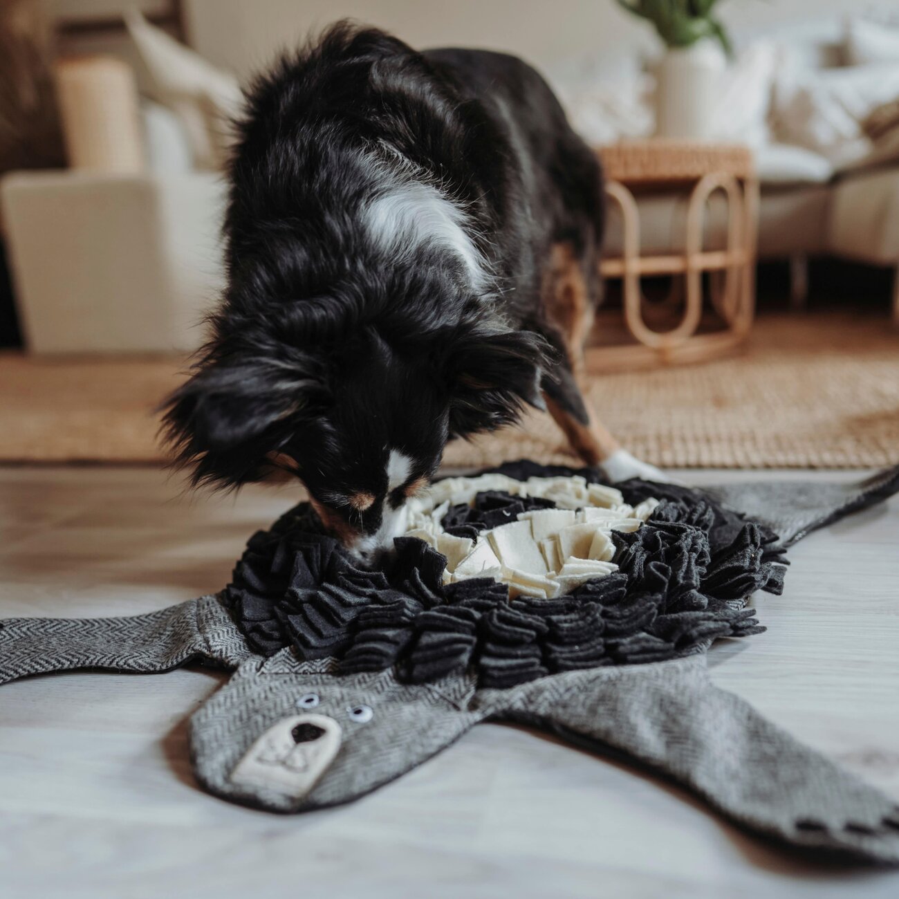 Schnüffelteppich Billund für Hunde Bild 2